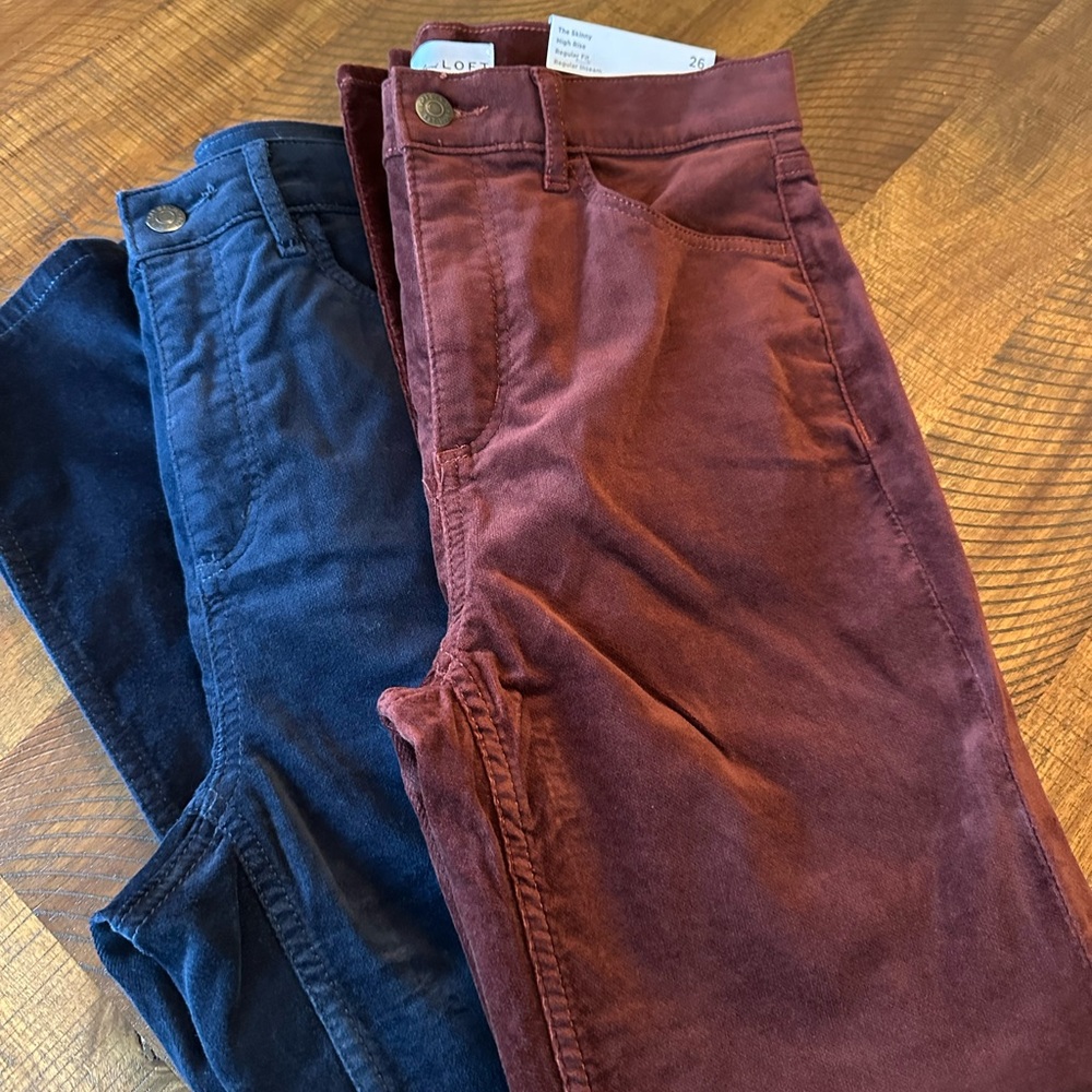 Navy blue and Burgundy Velour Skinny Pants